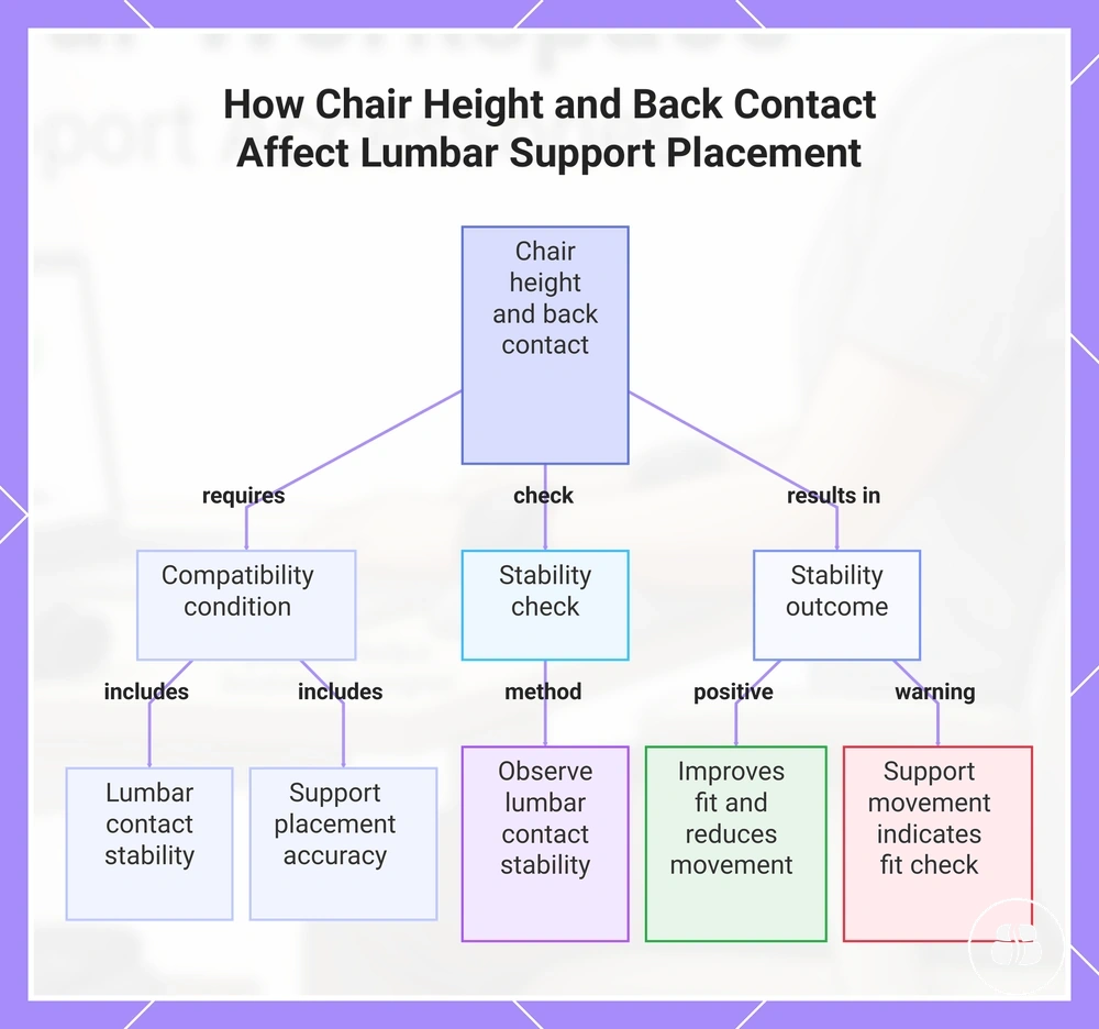 How Chair Height and Back Contact Affect Lumbar Support Placement